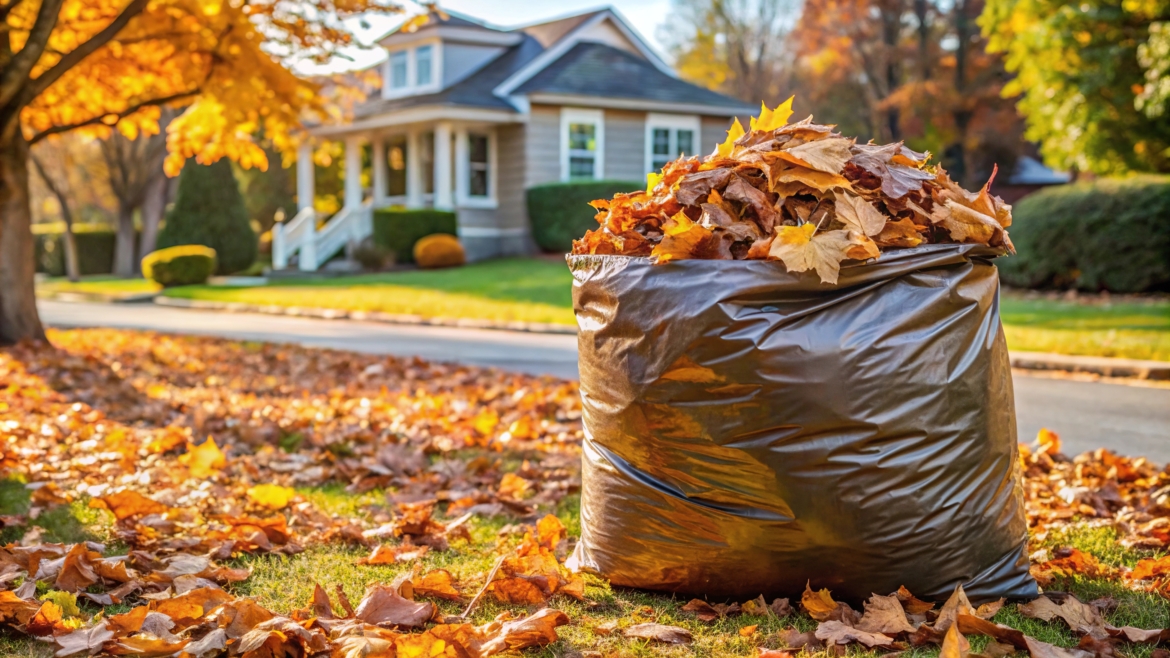 Spring & Fall Clean-Up